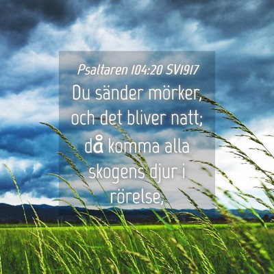 Picture 04 - Psaltaren 104:20 SV1917 - Du sänder mörker, och det bliver natt; då - Bible Verse Picture