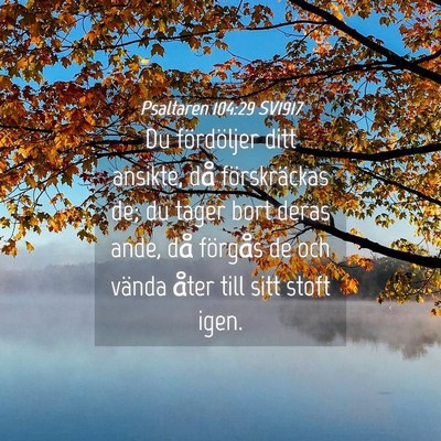 Picture 04 - Psaltaren 104:29 SV1917 - Du fördöljer ditt ansikte, då förskräckas - Bible Verse Picture