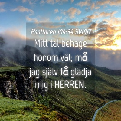 Picture 04 - Psaltaren 104:34 SV1917 - Mitt tal behage honom väl; må jag själv få - Bible Verse Picture