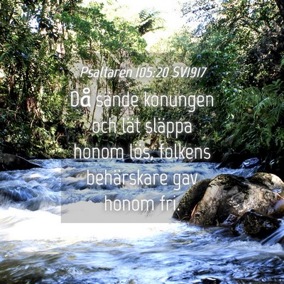 Picture 04 - Psaltaren 105:20 SV1917 - Då sände konungen och lät släppa honom lös, - Bible Verse Picture