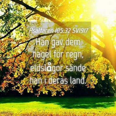 Picture 04 - Psaltaren 105:32 SV1917 - Han gav dem hagel för regn, eldslågor sände - Bible Verse Picture