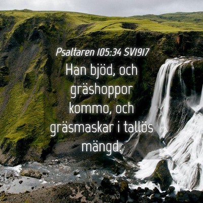 Picture 04 - Psaltaren 105:34 SV1917 - Han bjöd, och gräshoppor kommo, och gräsmaskar - Bible Verse Picture