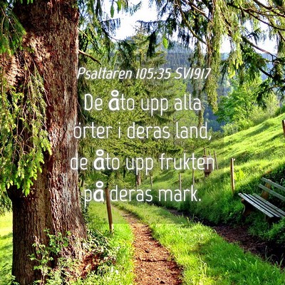 Picture 04 - Psaltaren 105:35 SV1917 - De åto upp alla örter i deras land, de åto upp - Bible Verse Picture