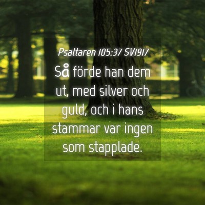 Picture 04 - Psaltaren 105:37 SV1917 - Så förde han dem ut, med silver och guld, och i - Bible Verse Picture