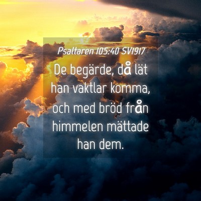 Picture 04 - Psaltaren 105:40 SV1917 - De begärde, då lät han vaktlar komma, och med - Bible Verse Picture