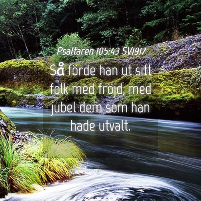 Picture 04 - Psaltaren 105:43 SV1917 - Så förde han ut sitt folk med fröjd, med jubel - Bible Verse Picture