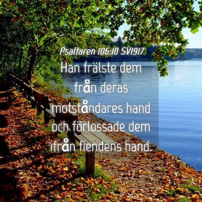 Picture 04 - Psaltaren 106:10 SV1917 - Han frälste dem från deras motståndares hand - Bible Verse Picture
