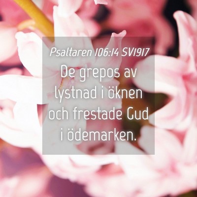 Picture 04 - Psaltaren 106:14 SV1917 - De grepos av lystnad i öknen och frestade Gud i - Bible Verse Picture