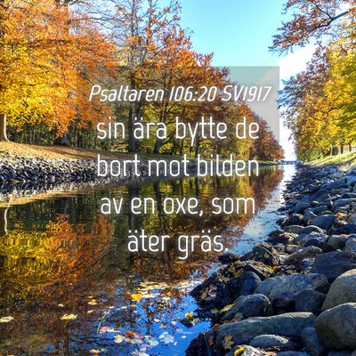 Picture 04 - Psaltaren 106:20 SV1917 - sin ära bytte de bort mot bilden av en oxe, som - Bible Verse Picture