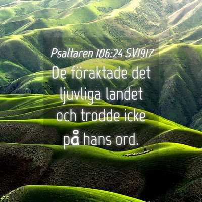Picture 04 - Psaltaren 106:24 SV1917 - De föraktade det ljuvliga landet och trodde icke - Bible Verse Picture