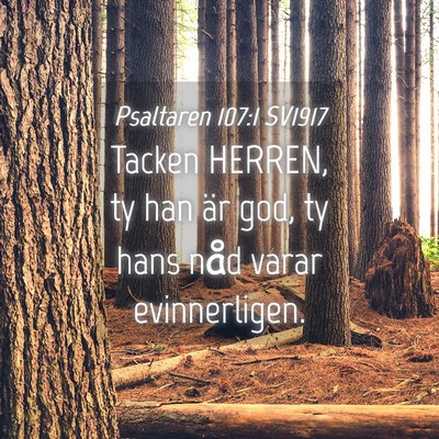Picture 04 - Psaltaren 107:1 SV1917 - Tacken HERREN, ty han är god, ty hans nåd varar - Bible Verse Picture