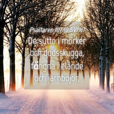 Picture 04 - Psaltaren 107:10 SV1917 - De sutto i mörker och dödsskugga, fångna i - Bible Verse Picture