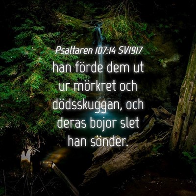 Picture 04 - Psaltaren 107:14 SV1917 - han förde dem ut ur mörkret och dödsskuggan, - Bible Verse Picture