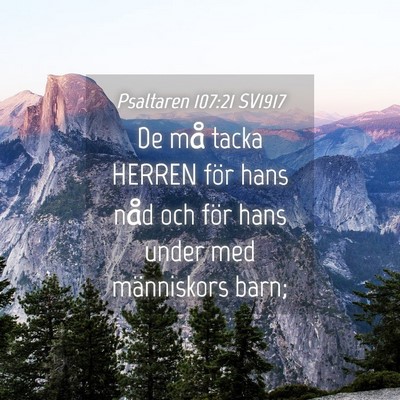 Picture 04 - Psaltaren 107:21 SV1917 - De må tacka HERREN för hans nåd och för hans - Bible Verse Picture