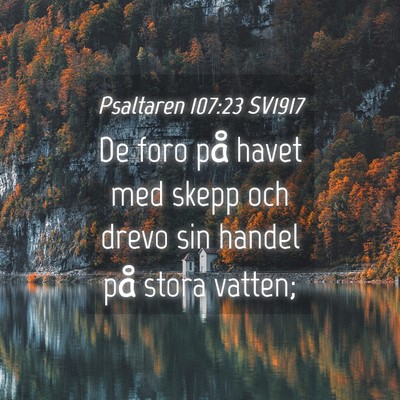 Picture 04 - Psaltaren 107:23 SV1917 - De foro på havet med skepp och drevo sin handel - Bible Verse Picture