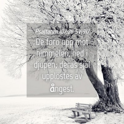 Picture 04 - Psaltaren 107:26 SV1917 - De foro upp mot himmelen, ned i djupen; deras - Bible Verse Picture