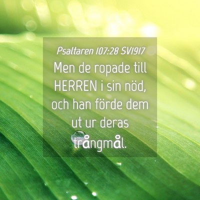 Picture 04 - Psaltaren 107:28 SV1917 - Men de ropade till HERREN i sin nöd, och han - Bible Verse Picture