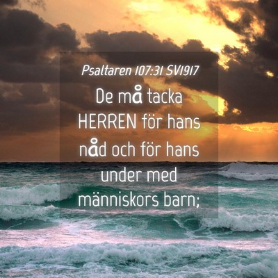 Picture 04 - Psaltaren 107:31 SV1917 - De må tacka HERREN för hans nåd och för hans - Bible Verse Picture