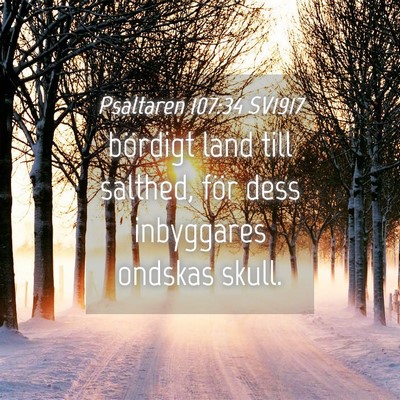 Picture 04 - Psaltaren 107:34 SV1917 - bördigt land till salthed, för dess inbyggares - Bible Verse Picture