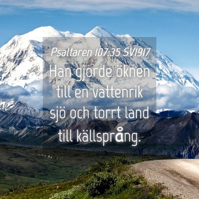 Picture 04 - Psaltaren 107:35 SV1917 - Han gjorde öknen till en vattenrik sjö och - Bible Verse Picture