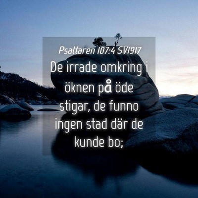 Picture 04 - Psaltaren 107:4 SV1917 - De irrade omkring i öknen på öde stigar, de - Bible Verse Picture