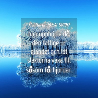 Picture 04 - Psaltaren 107:41 SV1917 - han upphöjde då den fattige ur eländet och - Bible Verse Picture