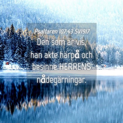 Picture 04 - Psaltaren 107:43 SV1917 - Den som är vis, han akte härpå och besinne - Bible Verse Picture