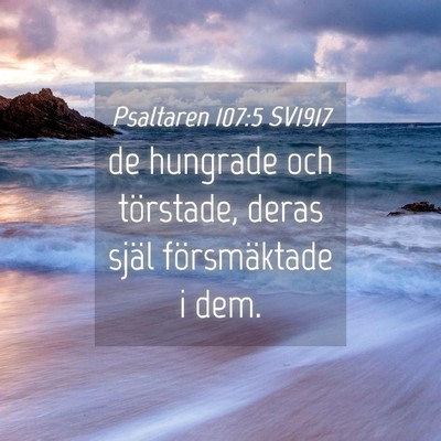 Picture 04 - Psaltaren 107:5 SV1917 - de hungrade och törstade, deras själ - Bible Verse Picture