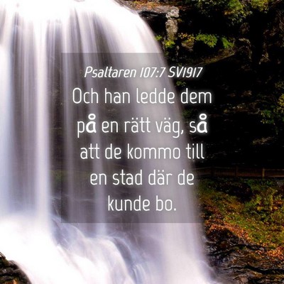 Picture 04 - Psaltaren 107:7 SV1917 - Och han ledde dem på en rätt väg, så att de - Bible Verse Picture