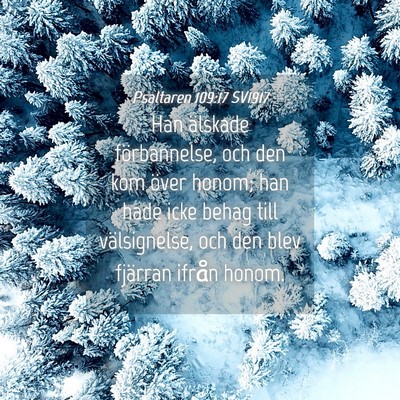 Picture 04 - Psaltaren 109:17 SV1917 - Han älskade förbannelse, och den kom över - Bible Verse Picture