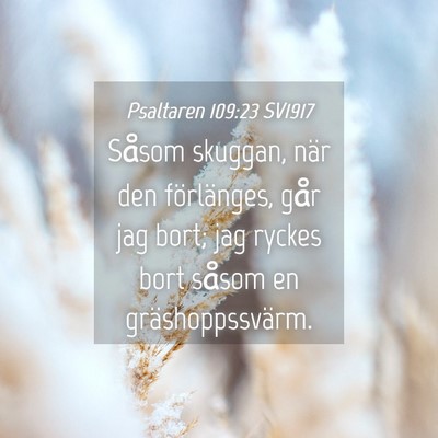 Picture 04 - Psaltaren 109:23 SV1917 - Såsom skuggan, när den förlänges, går jag - Bible Verse Picture