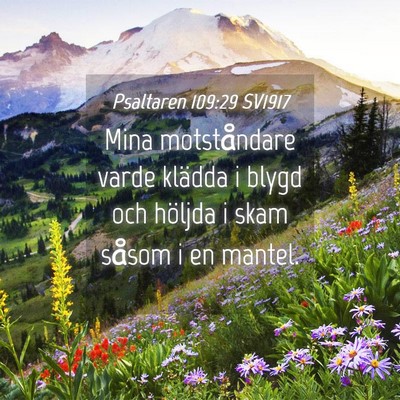 Picture 04 - Psaltaren 109:29 SV1917 - Mina motståndare varde klädda i blygd och - Bible Verse Picture