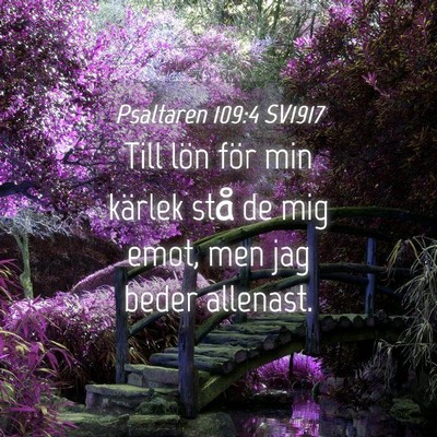 Picture 04 - Psaltaren 109:4 SV1917 - Till lön för min kärlek stå de mig emot, men - Bible Verse Picture