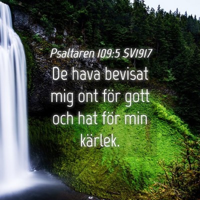 Picture 04 - Psaltaren 109:5 SV1917 - De hava bevisat mig ont för gott och hat för - Bible Verse Picture