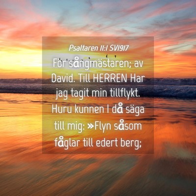 Picture 04 - Psaltaren 11:1 SV1917 - För sångmästaren; av David. Till HERREN Har - Bible Verse Picture