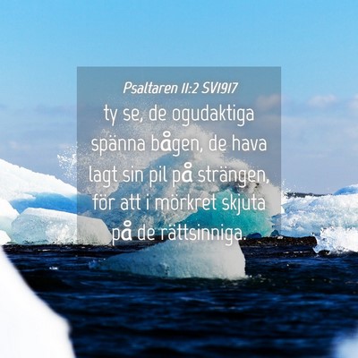 Picture 04 - Psaltaren 11:2 SV1917 - ty se, de ogudaktiga spänna bågen, de hava lagt - Bible Verse Picture