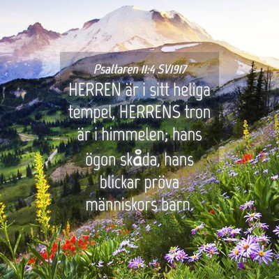 Picture 04 - Psaltaren 11:4 SV1917 - HERREN är i sitt heliga tempel, HERRENS tron är - Bible Verse Picture