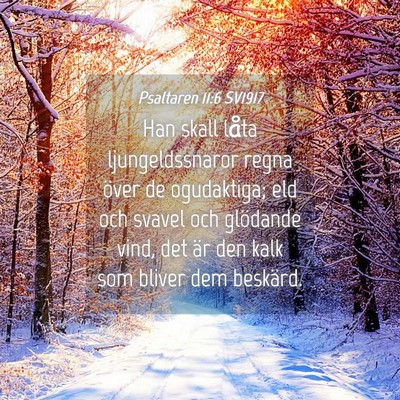 Picture 04 - Psaltaren 11:6 SV1917 - Han skall låta ljungeldssnaror regna över de - Bible Verse Picture
