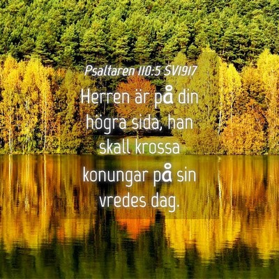 Picture 04 - Psaltaren 110:5 SV1917 - Herren är på din högra sida, han skall krossa - Bible Verse Picture