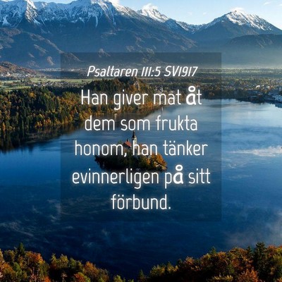 Picture 04 - Psaltaren 111:5 SV1917 - Han giver mat åt dem som frukta honom, han - Bible Verse Picture