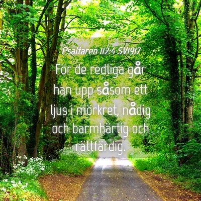 Picture 04 - Psaltaren 112:4 SV1917 - För de redliga går han upp såsom ett ljus i - Bible Verse Picture