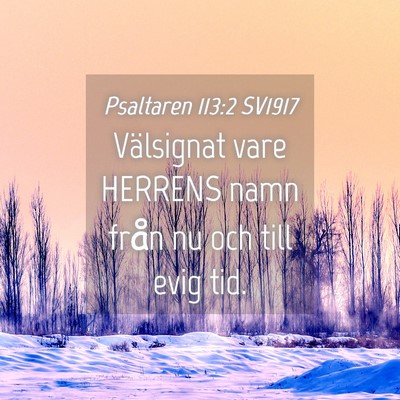 Picture 04 - Psaltaren 113:2 SV1917 - Välsignat vare HERRENS namn från nu och till - Bible Verse Picture