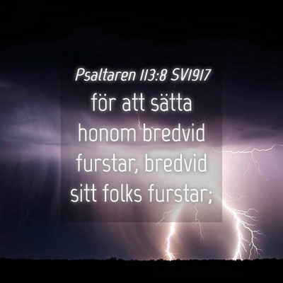 Picture 04 - Psaltaren 113:8 SV1917 - för att sätta honom bredvid furstar, bredvid - Bible Verse Picture