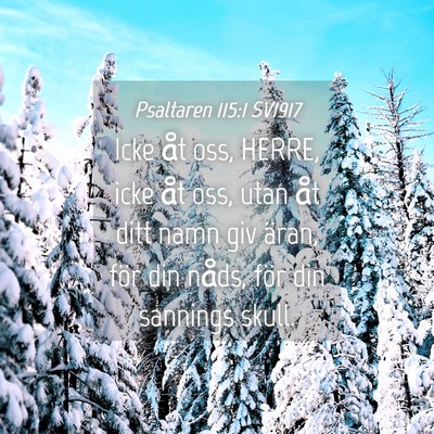 Picture 04 - Psaltaren 115:1 SV1917 - Icke åt oss, HERRE, icke åt oss, utan åt ditt - Bible Verse Picture