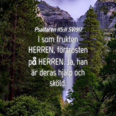 Picture 04 - Psaltaren 115:11 SV1917 - I som frukten HERREN, förtrösten på HERREN. - Bible Verse Picture