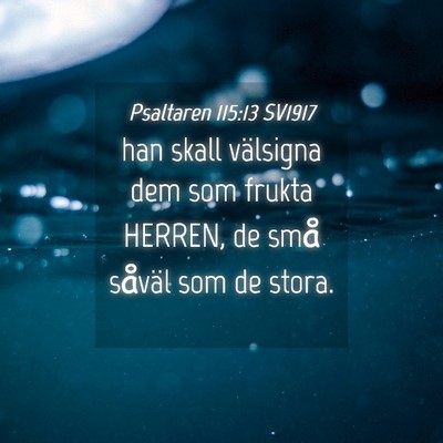 Picture 04 - Psaltaren 115:13 SV1917 - han skall välsigna dem som frukta HERREN, de - Bible Verse Picture