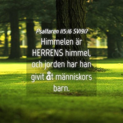 Picture 04 - Psaltaren 115:16 SV1917 - Himmelen är HERRENS himmel, och jorden har han - Bible Verse Picture