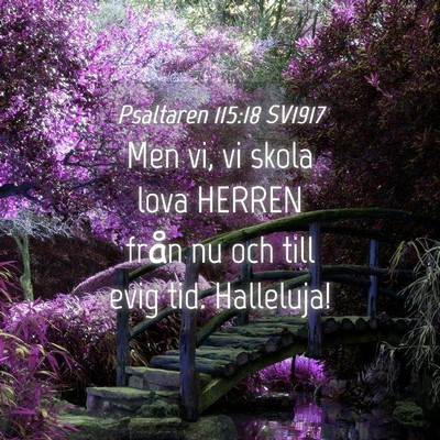 Picture 04 - Psaltaren 115:18 SV1917 - Men vi, vi skola lova HERREN från nu och till - Bible Verse Picture