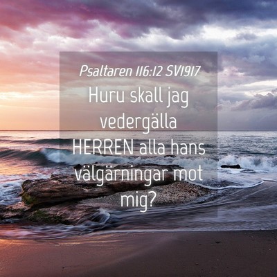 Picture 04 - Psaltaren 116:12 SV1917 - Huru skall jag vedergälla HERREN alla hans - Bible Verse Picture