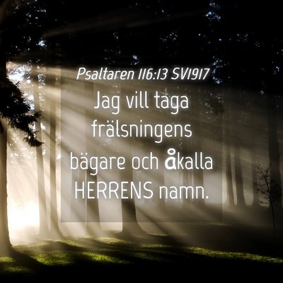 Picture 04 - Psaltaren 116:13 SV1917 - Jag vill taga frälsningens bägare och åkalla - Bible Verse Picture
